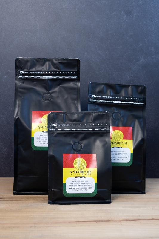 Café de especialidad | Yungas - Bolivia